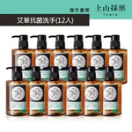 TSAIO上山採藥 艾草抗菌洗手液300ML(12入)