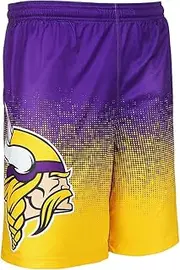 FOCO NFL Men's (2016 Edition) Gradient Polyester Shorts