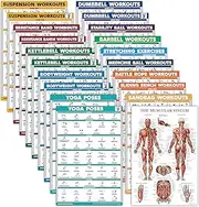 Palace Learning 20 Pack - Exercise Poster Set: Dumbbell, Suspension, Battle Rope, Stretching, Bodyweight, Barbell, Yoga, Exercise Ball, Muscular, Kettlebell, Resistance Bands (LAMINATED, 18" x 24")