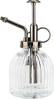 Glass Plant Mister Spray Bottle 200ML, Yebeauty Plant Mister Watering Spray Bottle Vintage Style Decorative Small Watering Can for Gardening with Top Pump, Clear