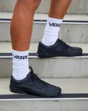 Vans Old Skool Shoes