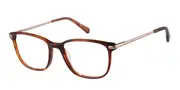 Radley RDO 6048 102 Men's Glasses Tortoiseshell Size 51 - Private Health Rebate - Blue Light Block Available