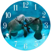 NAUTICAL FLA MANATEES SWIMMING BEACH HOUSE SEA LIFE ANIMAL WALL CLOCK ARTWORK