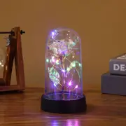 LED Eternal Beauty Rose With Fairy Lights in Dome