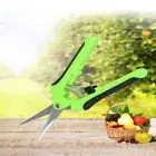 Pruning Shears Plant Scissors Trim Trees Snips Branch Garden Secateurs Tool 1 PC