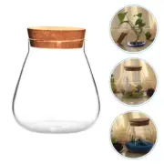 Bubble Bowl Glass Bottle Ornaments Travel Terrarium Plant Jar with Cork