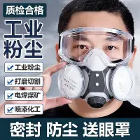 在飛比找Yahoo!奇摩拍賣優惠-口罩防塵防工業粉塵豬鼻子面罩防護灰塵噴漆專用防毒面具全臉硅膠