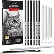 Charcoal Drawing Set -12 pc Black charcoal pencils, White Charcoal Pencils, Eraser Pencils, Blending Stumps for Drawing, Sketching, Shading, Artist Pencils for Beginners & Artists