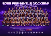 LAMINATED FREMANTLE DOCKERS TEAM POSTER,BARGAIN,AFL FOOTBALL,GREAT FEEDBACKS