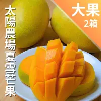 在飛比找台灣好農優惠-太陽農場夏雪芒果(大果/2.5公斤)*2箱