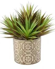 Creative Displays Purple/Green Yucca Succulents