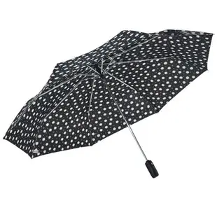 RAINSTORY雨傘-小雛菊抗UV雙人自動傘