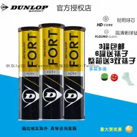 在飛比找樂天市場購物網優惠-登路普 鄧祿普Dunlop Fort Elite 鐵筒專業比