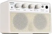10W Small Electric Bass Amp Portable Bass Guitar Practice Speaker for Daily Practice Street Performances Rechargeable Portable O Supports BT/Headphone Connection 6.35Mm Interface Plug and