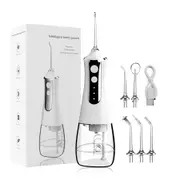 Fashion Oral Irrigator Water Dental Flosser Rechargeable Portable Dental Water Jet Floss 300ML 3-speed Waterproof 5 Tips Cleaner