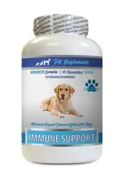 immune support formula - DOG IMMUNE SUPPORT - burdock root capsules - 1 Bottle