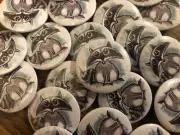 5 Pack 1.25 Button Trash Panda Artist Cory Gray Sick Stickems Raccoon Animals￼￼