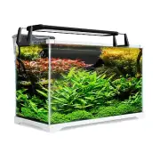 Dynamic Power Starfire Glass Aquarium Fish Tank 39 L (AQ-FT35L)