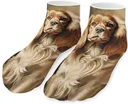 [QMNVBDS] Cocker Spaniel Socks Ankle Length Socks Casual Short Socks for Women Men Low Cut Sports Socks Running Socks No Show Socks Ankle Socks Athletic Socks Workout Socks, Style, One Size, Style, One
