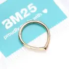 Pure24K Implant Grade Titanium Classic Teardrop Clicker Hoop Ring