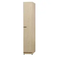 在飛比找momo購物網優惠-【唯熙傢俱】費瑞原木色1.3尺衣櫃(衣櫥 衣櫃 開門衣櫥 置