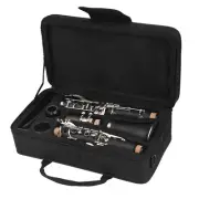 Axiom Prelude Clarinet Outfit - Beginner Outfit with Box of Reeds