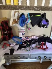 Small Dog Harness , Cat Collars, Cones Small