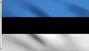 DMSE Estonia Estonian National Flag 2x3 Ft Foot 100% Polyester 100D Flag UV Resistant (2' X 3' Ft Foot)