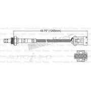 PAT Oxygen/Lambda Sensor Pre-Catalytic Converter/Manifold - EGO-402