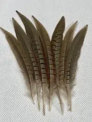 FIVE 10”-12” Wild Genuine Pheasant Tail Feathers, Hats Costumes, Fly Tying, USA