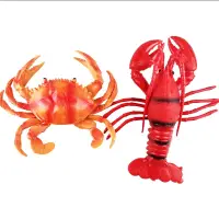 在飛比找蝦皮購物優惠-[現貨]仿真大龍蝦螃蟹模型 海洋動物玩具 塑膠大龍蝦道具 兒
