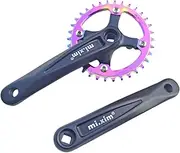 Generic Singlespeed Crankset, Crankset for Mountain Bikes, 170 Mm, with Narrow, Wide Sprocket and Round Chainring Replacement (104 BCD)