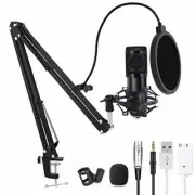 Computer Microphone Gaming Mic Adjustable Boom Arm Stand USB PC Video Recording