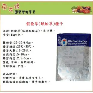 農友 假儉草(蜈蚣草)種子 1kg - 草皮種子