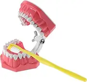 FONDOTIN 1 Set Brushing Practice Model with Toothbrush Teeth Alignment Cleaning Training Aid for Brushing Technique in Classrooms