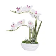 Large Artificial Potted Orchid Plant, Silk Flower Arrangement with White