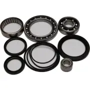 All Balls Rear Differential Bearing and Seal Kit 25-2033