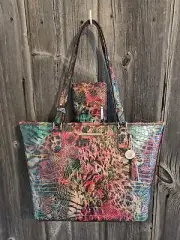 NWT Brahmin Medium Asher and Matching Ady Wallet Shapeshifter.