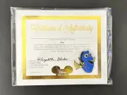 Disney Movie Club VIP Exclusive Pin Dory