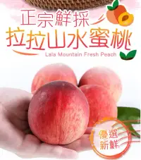 在飛比找環球Online優惠-【享吃鮮果】正宗鮮採拉拉山水蜜桃10入(1.3kg/10顆/
