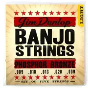 Dunlop DJP0920 Americana Series Phosphor Bronze Banjo Strings, 5-String, Light