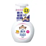 降價促銷｜日本獅王LION 趣淨抗菌洗手慕斯｜果香 250ML｜洗手乳