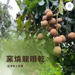 山蒔六 | 窯燒龍眼乾（帶殼）