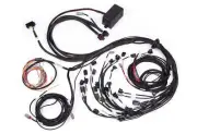 Haltech HT-141388 Elite 2500 Ford Falcon BA/BF Barra 4.0 Terminated Harness