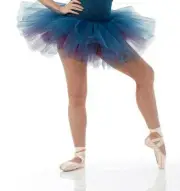Adult Small TUTU SKIRT ONLY Dance Costume Glitter MY OWN WAY Teal over Plum