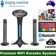 Carnaval The Singing Machine Complete Karaoke Two Mics Disco Lights Rechargeable