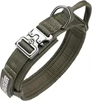 EXCELLENT ELITE SPANKER Tactical Dog Collar Nylon Adjustable K9 Collar Military Dog Collar Heavy Duty Metal Buckle with Handle (Ranger Green-M)