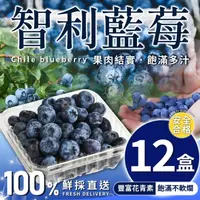 在飛比找台北濱江優惠-【台北濱江】智利藍莓12小盒*1件