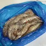 現貨🧊冷凍白蝦🦐20/30（850克一盒）