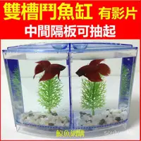 在飛比找蝦皮購物優惠-(現貨)鬥魚缸 鬥魚比賽缸 有活動隔板隔離盒 鬥魚水族箱 養